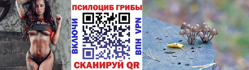 купить  сайты  Мостовской  Галлюциногенные грибы MAGIC MUSHROOMS 